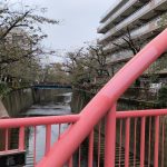 megurogawa