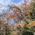 asukayama park