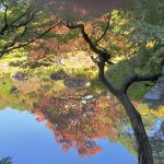 jardin Kuy Furukawa teien