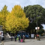 parc ueno