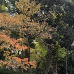 parc ueno