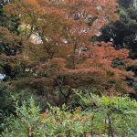 parc ueno