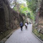 sarushima