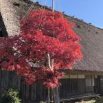 shirakawa-go