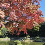 kiyosumi-teien