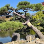 kiyosumi-teien