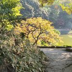 kiyosumi-teien