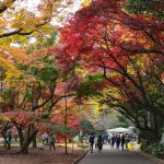 shinjukugyoen