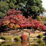 shinjukugyoen